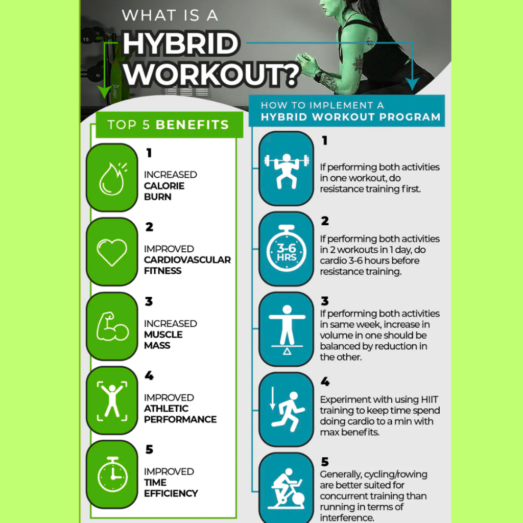 Hybrid Fitness Workouts